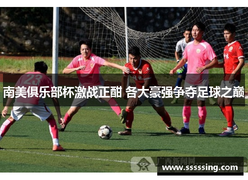 南美俱乐部杯激战正酣 各大豪强争夺足球之巅