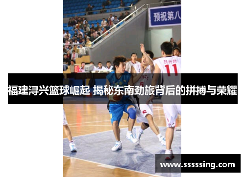 福建浔兴篮球崛起 揭秘东南劲旅背后的拼搏与荣耀